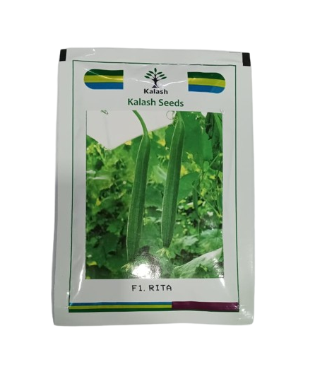Kalash Seeds Sponge Gourd Rita F1 – 50gm
