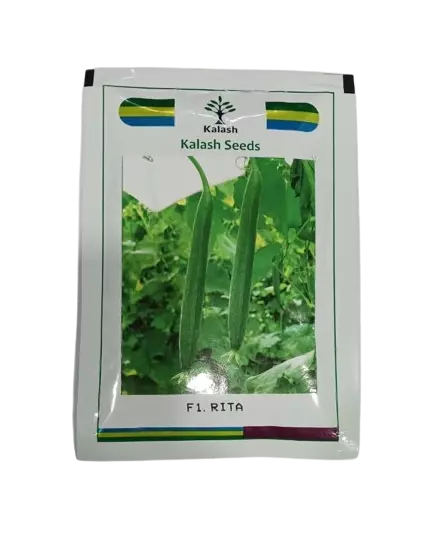 Kalash Seeds Sponge Gourd Rita F1 – 50gm