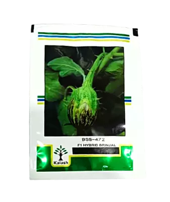 Kalash Brinjal Shivaji BSS 472-10gm