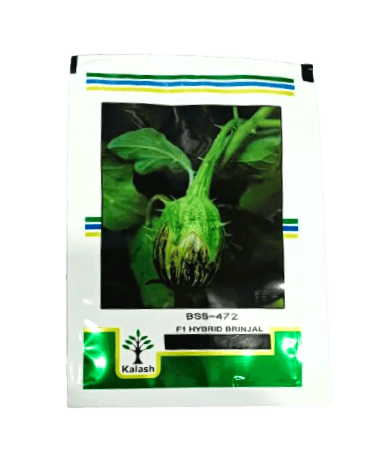 Kalash Brinjal Shivaji BSS 472-10gm