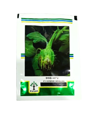 Kalash Brinjal Shivaji BSS 472-10gm