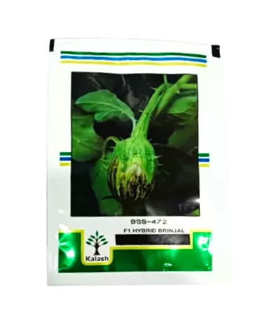 Kalash Brinjal Shivaji BSS 472-10gm