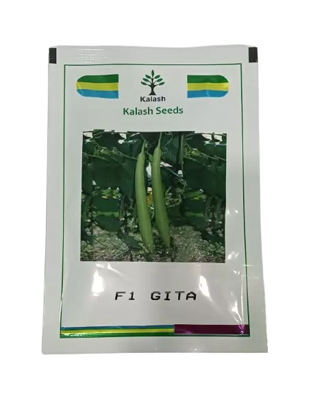 Kalash Seeds Sponge Gourd Gita F1 – 50gm
