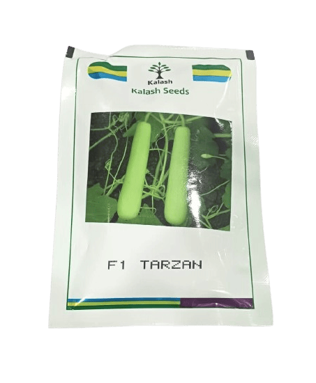 Kalash Bottlegourd Tarzan-50gm