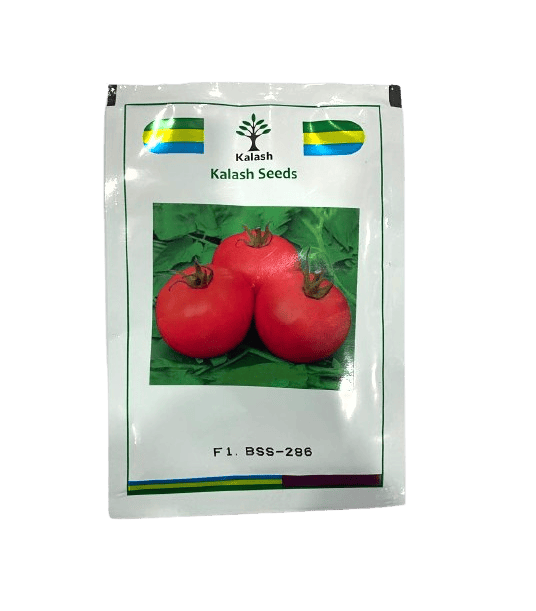 BSS-286 F1 Tomato Hybrid Seeds by Kalash Seeds