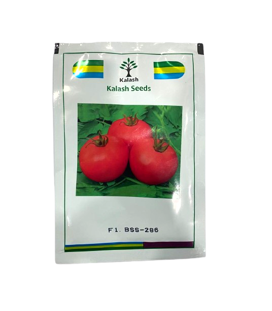 BSS-286 F1 Tomato Hybrid Seeds by Kalash Seeds