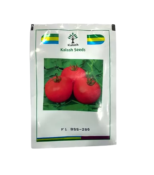 BSS-286 F1 Tomato Hybrid Seeds by Kalash Seeds