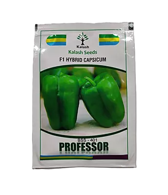 F1 Hybrid Capsicum BSS-401 PROFESSOR by Kalash Seeds