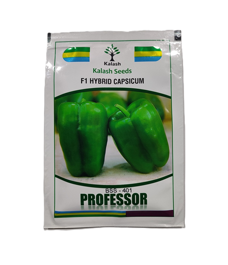 F1 Hybrid Capsicum BSS-401 PROFESSOR by Kalash Seeds