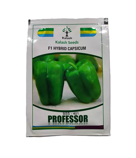 F1 Hybrid Capsicum BSS-401 PROFESSOR by Kalash Seeds
