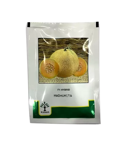 Muskmelon Madhumita by Kalash Seeds