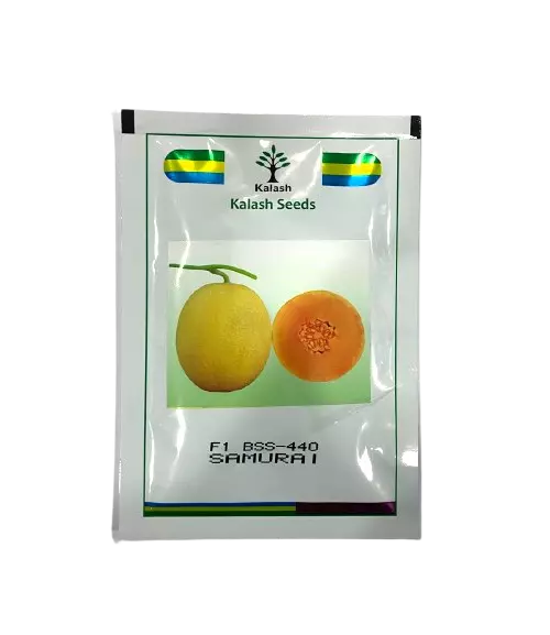 BSS-440 SAMURAI Muskmelon Seeds by Kalash Seeds