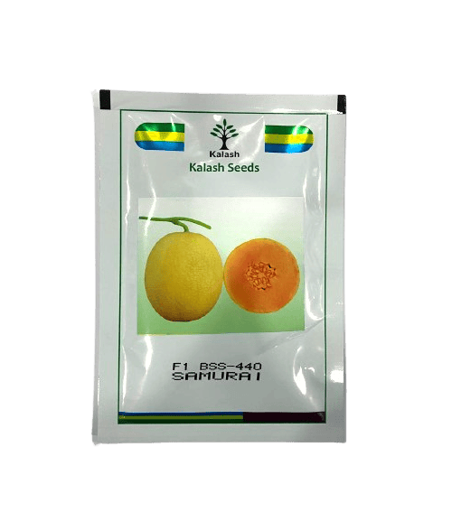 BSS-440 SAMURAI Muskmelon Seeds by Kalash Seeds