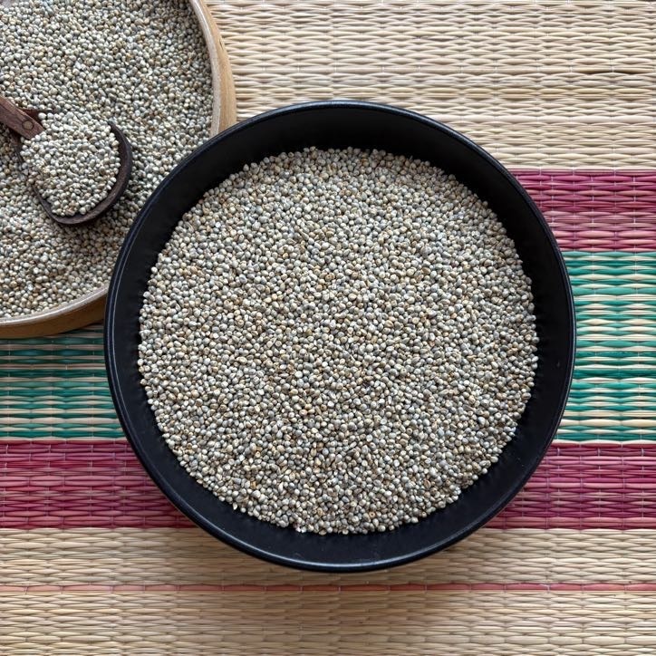 Bajra Pearl Millet