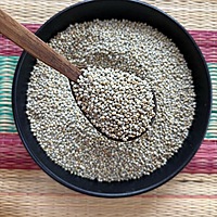 Bajra Pearl Millet