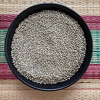 Bajra Pearl Millet