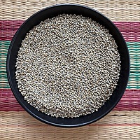 Bajra Pearl Millet