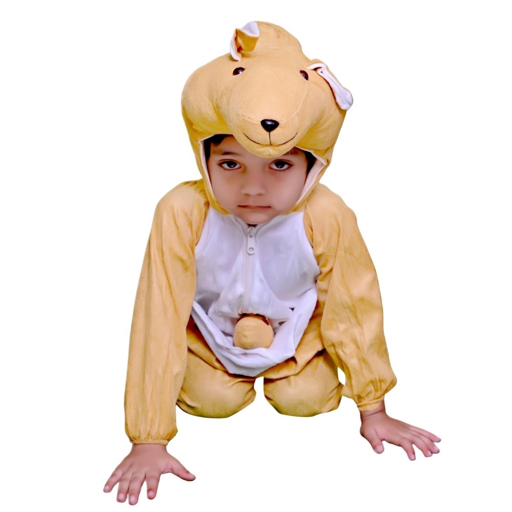 Kangaroo Fancy Dress Costume