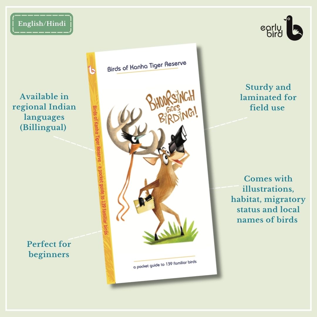 Early Bird Pocket Guides