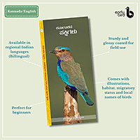 Early Bird Pocket Guides - Bulk Purchase of 50 Early Bird Pocket Guides - Bulk Purchase of 50