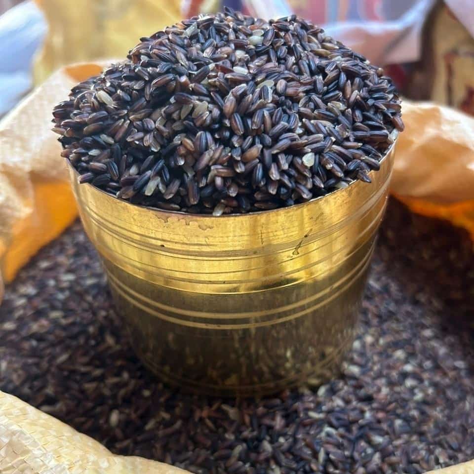 Karuppu Kavuni