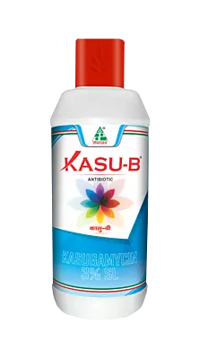 Kasu-B Fungicide by Dhanuka