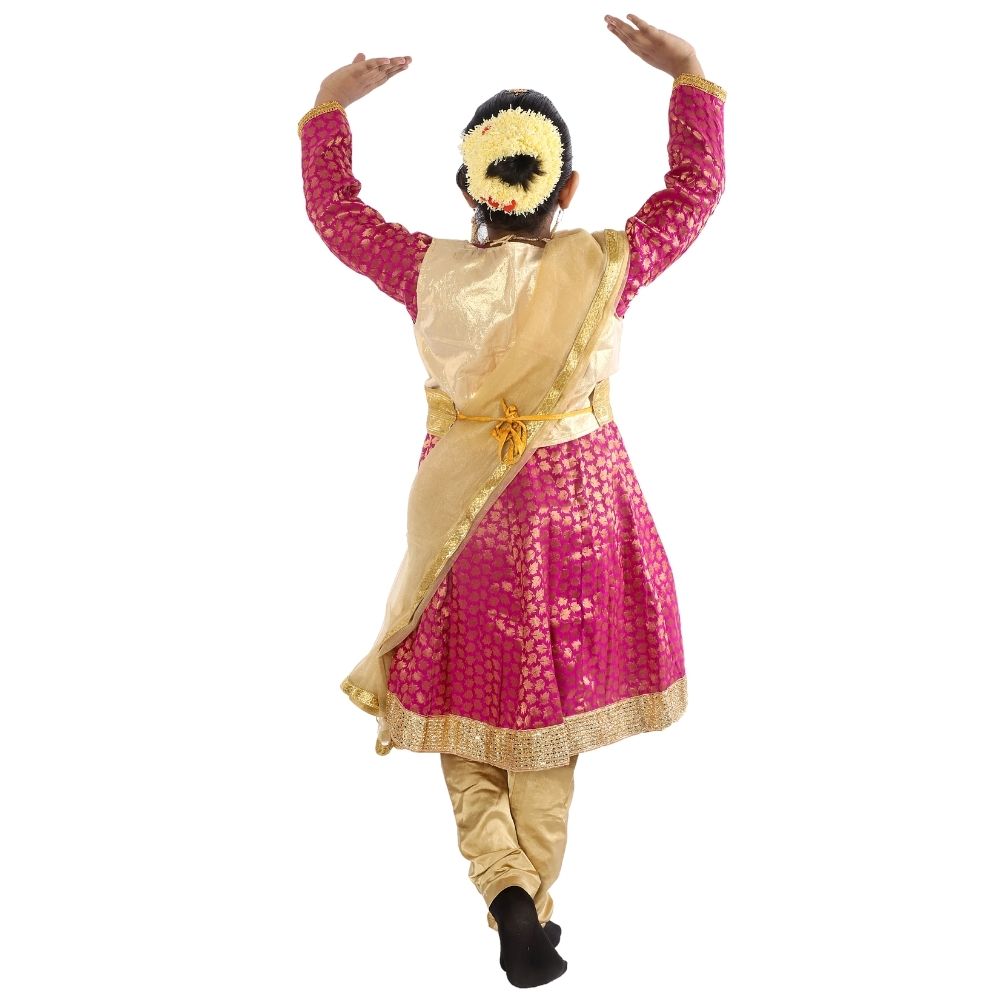 Kathak Dance Dress Anarkali Kathak Dance Dress Anarkali