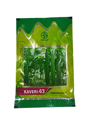 Hybrid Ridge Gourd KAVERI-63 by Kaveri Seed Company Limited