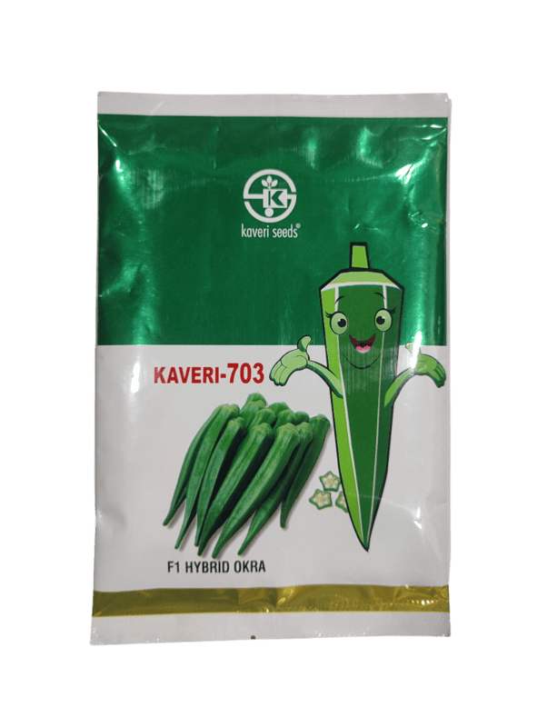 F1 Hybrid Okra KAVERI-703 by Kaveri Seed Company Limited