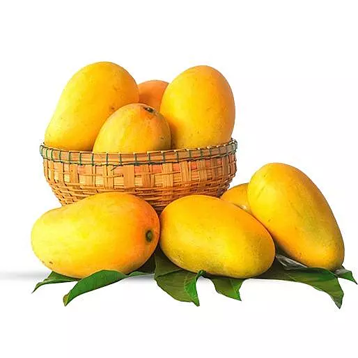 Kesar Mango (Kesar Aam)