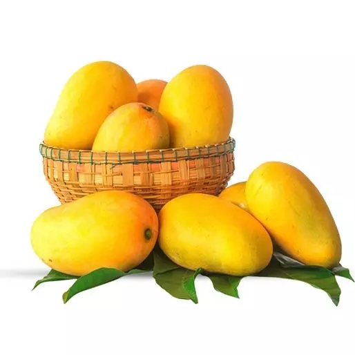 Kesar Mango (Kesar Aam)