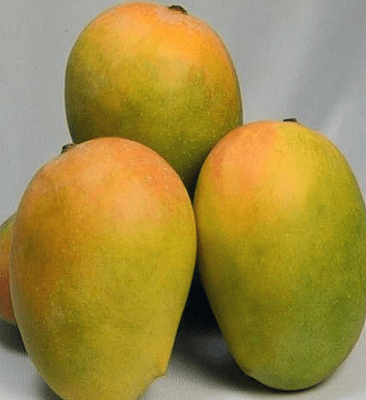 KESAR - 5 Kgs