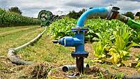 Irrigation Equipment Leasing
