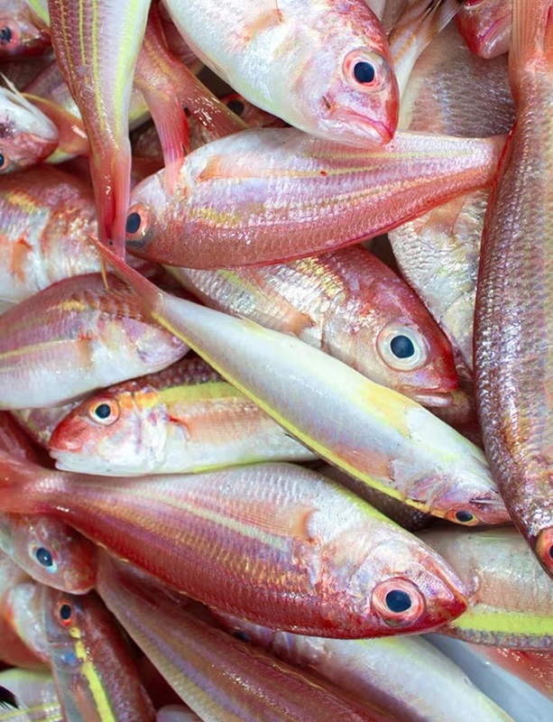 Kilimeen/ Puyapla Catla Whole Medium Size