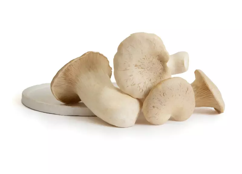 King Trumpet Mushrooms 200 Gms