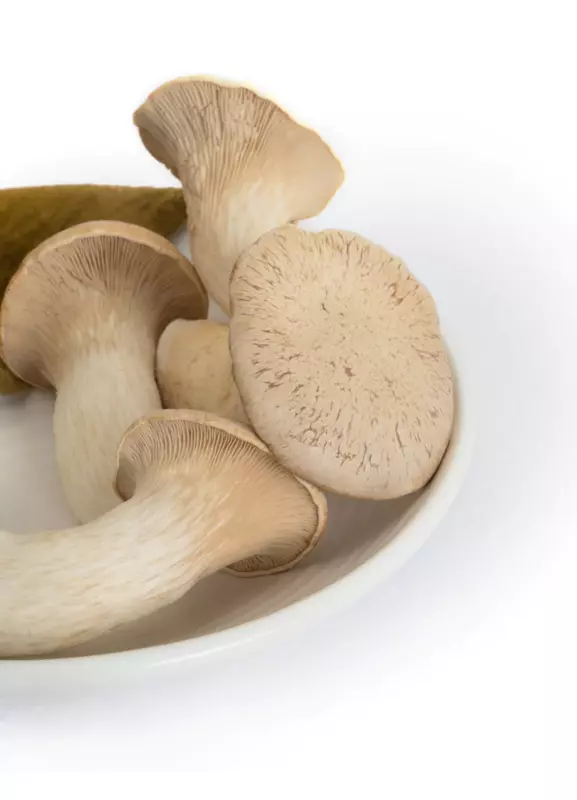 King Trumpet Mushrooms 200 Gms