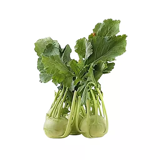Knolkhol (Nool Kal)