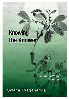 Knowing the Knower