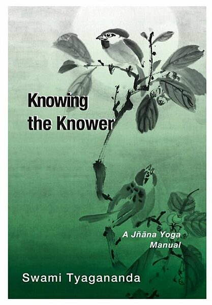 Knowing the Knower