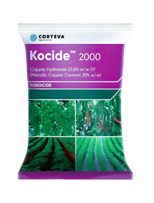Kocide 2000 by Corteva