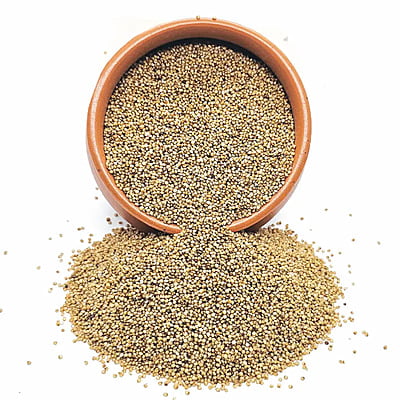 Organic Kodo Millet Organic Kodo Millet