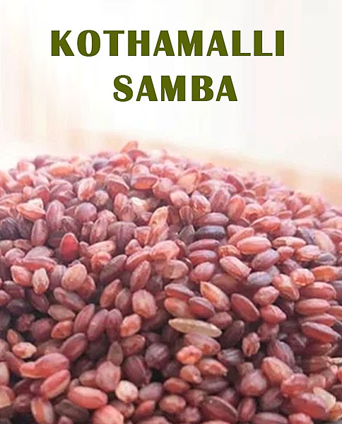 Kothamalli Samba Rice