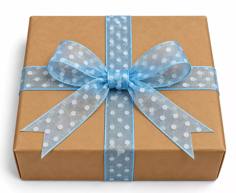 Powder Blue Organza Polka Dot Ribbon-20 Yards-2.5 cms