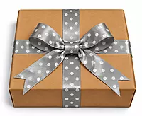 Silver Satin Polka Ribbon - 25 mm - 20 Yards