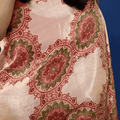 Kumudini | NAVA JYOTI Organza Saree