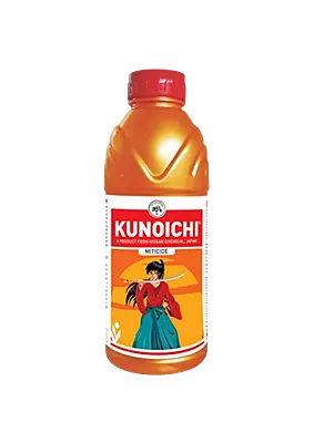 Kunoichi