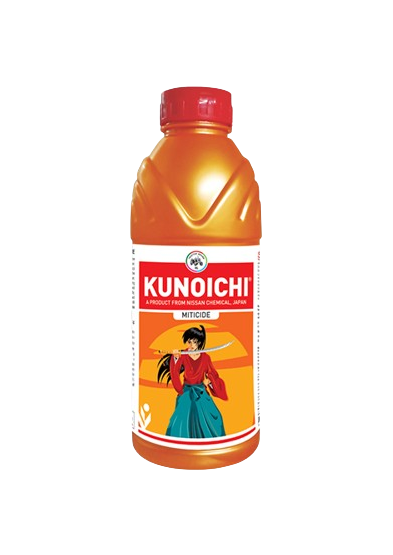 Kunoichi