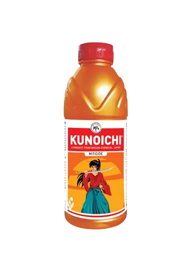 Kunoichi