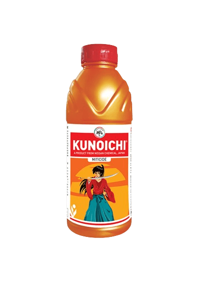 Kunoichi