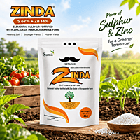 Zinda S 67% + Z 14% | Micronutrient Fertilizer | Vetrivel Agro Services